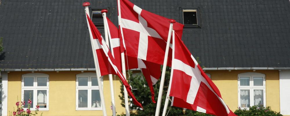 Dänemark Ferienhaus mit Flaggen