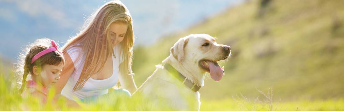 Familie auf Wiese im Ferienhaus-Urlaub mit Hund