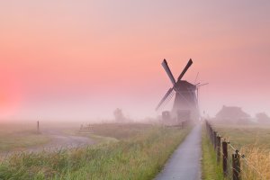 Windmühle neben Häusern im Dunst