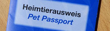 EU Heimtierausweis für Hunde