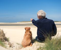 Holland Ferienwohnungen und Ferienhäuser am Meer mit Hund