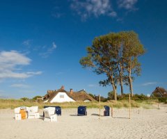 Ostsee Ferienwohnungen und Ferienhäuser am Strand mit Hund